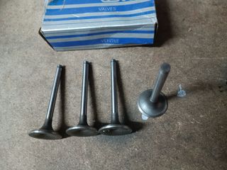 VALVULAS ADMISION RENAULT; 5, 12.