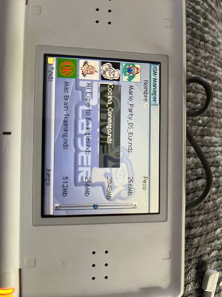 nintendo ds