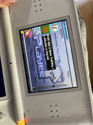 nintendo ds