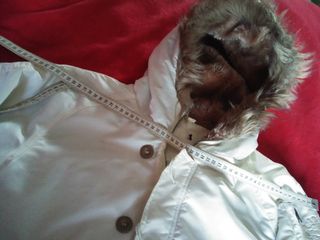 Cazadora acolchada con capucha ALPH.T. 44