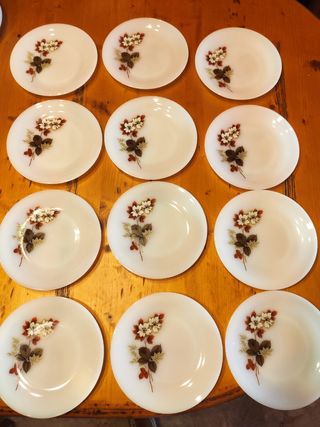 VAJILLA ARCOPAL FLOR DE ALMEDRO