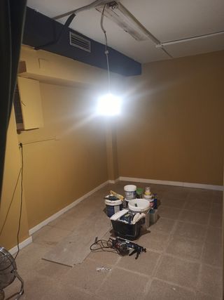 PINTOR Profesional económico y de confianza