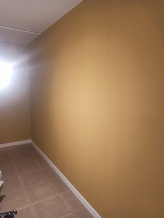 PINTOR Profesional económico y de confianza