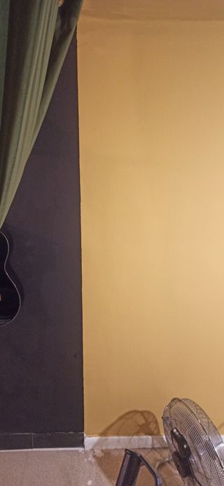 PINTOR Profesional económico y de confianza