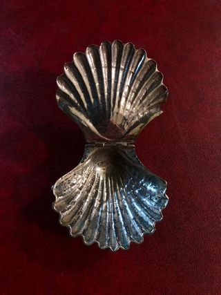 Concha de plata