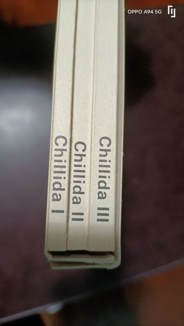  3 libros de chillida 