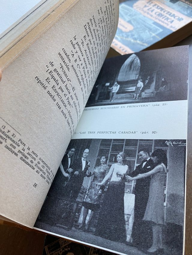 El espectador y la crítica Francisco Álvaro
