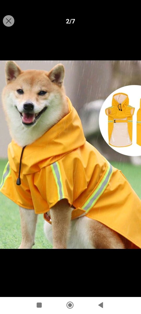 Impermeable de perro