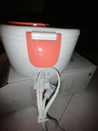Caixa de almoço elétrica