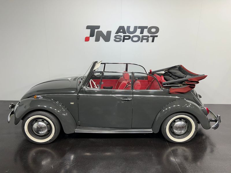 Volkswagen Beetle 1999, foto 4
