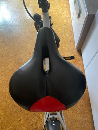 Bicicleta eléctrica