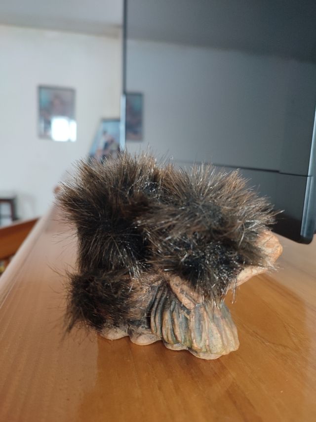 Coppietta Nyform troll