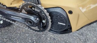 Ebike doble Focus jam drifter