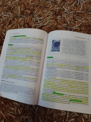 Libro psicología social