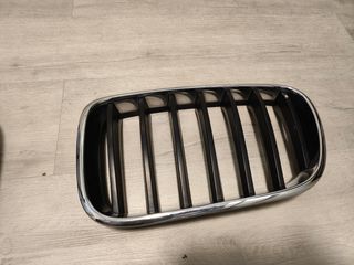 Rejilla radiador BMW X3