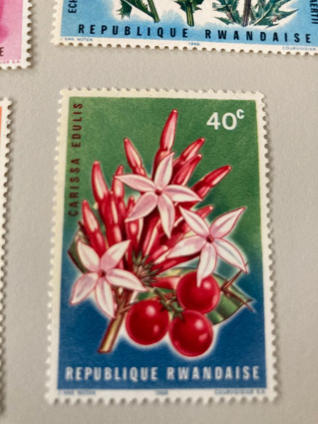 lotto 4 frencobolli Ruanda fiori