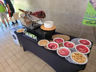 Cortador Profesional de Jamón