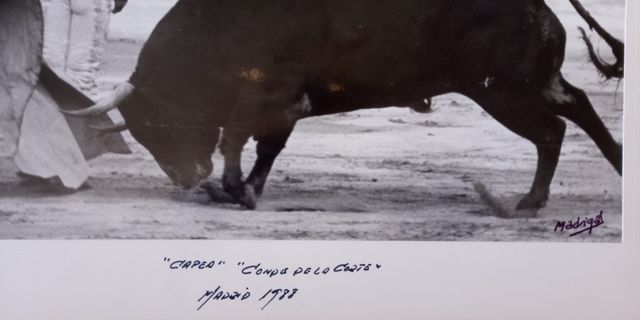 FOTOGRAFIA PEDRO GUTIERREZ MOYA "NIÑO DE LA CAPEA"