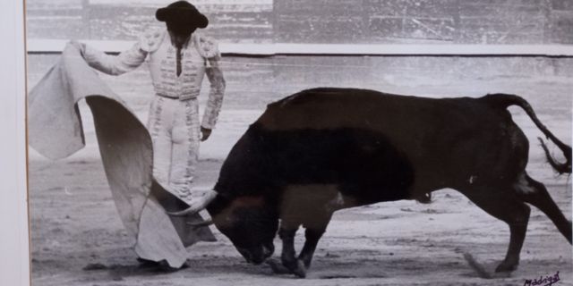 FOTOGRAFIA PEDRO GUTIERREZ MOYA "NIÑO DE LA CAPEA"