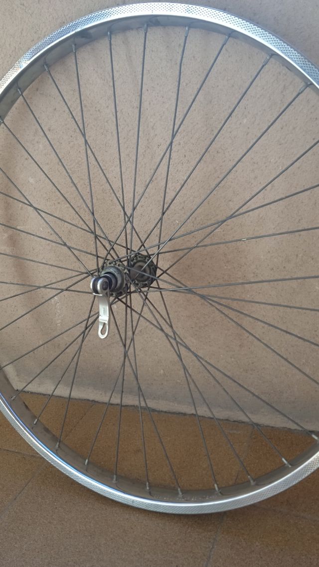 Llanta (delantera) de bicicleta