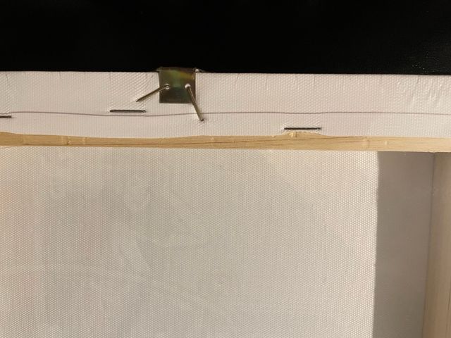 Lupin quadro cm. 25x25