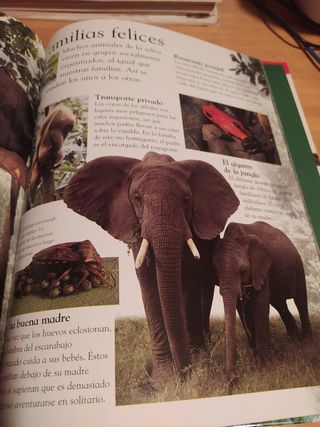 Selvas tropicales, libro