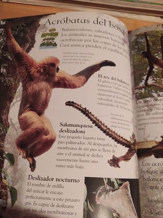 Selvas tropicales, libro