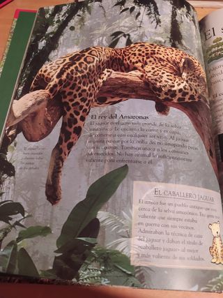 Selvas tropicales, libro