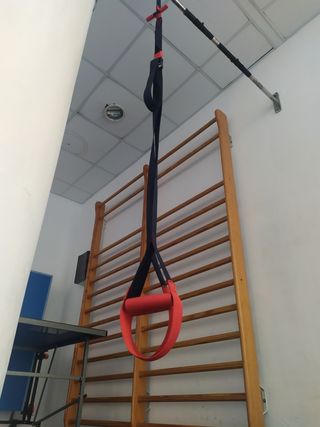 ENTRENADOR PERSONAL ON LINE 