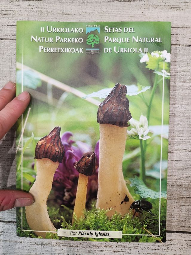 Setas del Parque natural de Urkiola II P. Iglesias