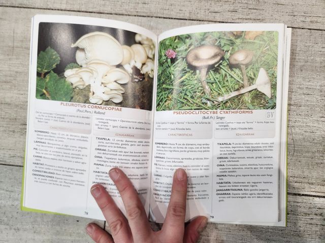 Setas del Parque natural de Urkiola II P. Iglesias