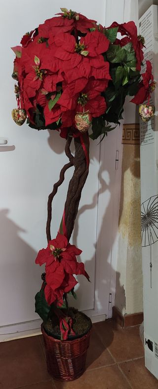 Arbol de Flor de Pascua