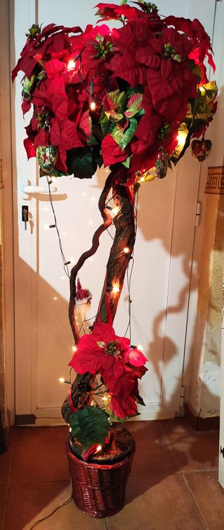 Arbol de Flor de Pascua