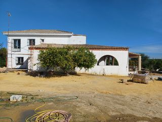 Cubiertas y tejas TLF.651429938