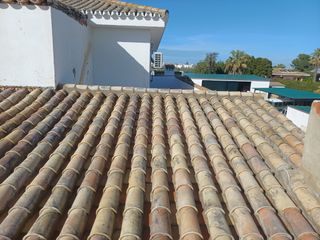 Cubiertas y tejas TLF.651429938