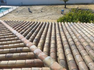 Cubiertas y tejas TLF.651429938