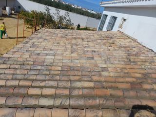 Cubiertas y tejas TLF.651429938