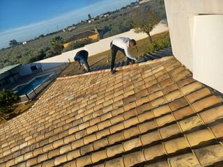 Cubiertas y tejas TLF.651429938