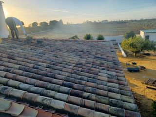 Cubiertas y tejas TLF.651429938