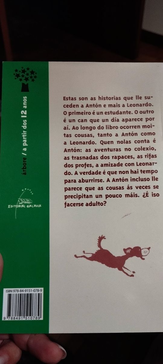 Leonardo e os fontaneiros