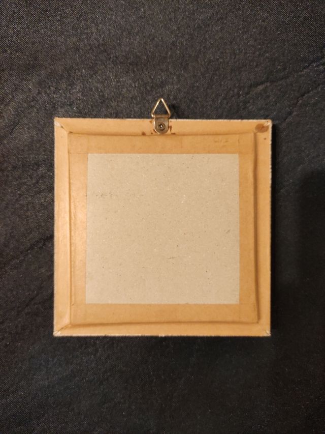 Mariposas enmarcadas