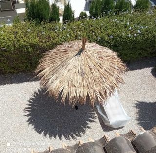 Sombrillas de brezo. Mimbre. Carrixt.ect