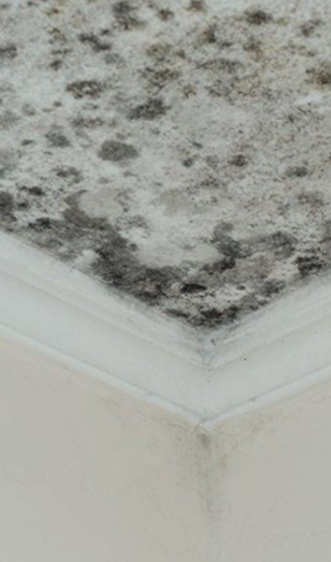 Humedades y goteras 