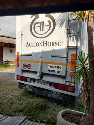 Autocarro Van trasporto cavalli( In Italia)
