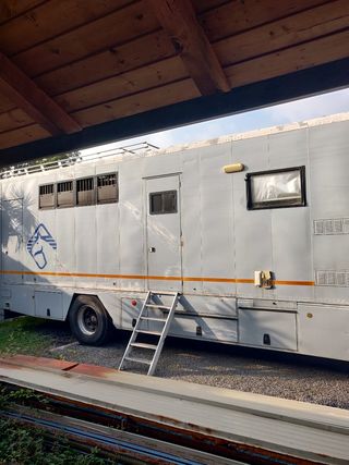 Autocarro Van trasporto cavalli( In Italia)