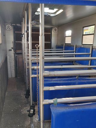 Autocarro Van trasporto cavalli( In Italia)