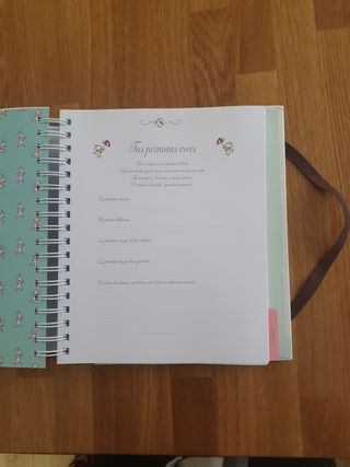 pequeño diario de mi bebé