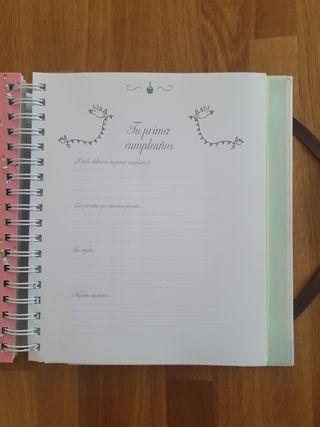 pequeño diario de mi bebé