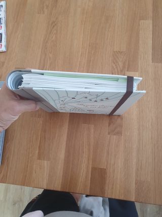 pequeño diario de mi bebé