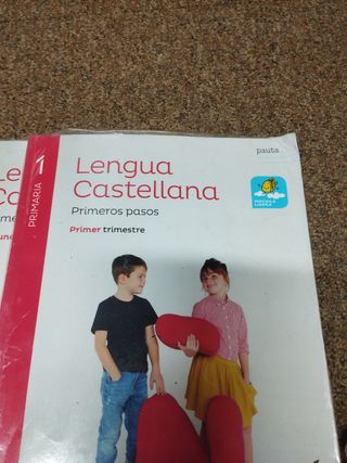 Libros lengua 1 primaria Santillana,